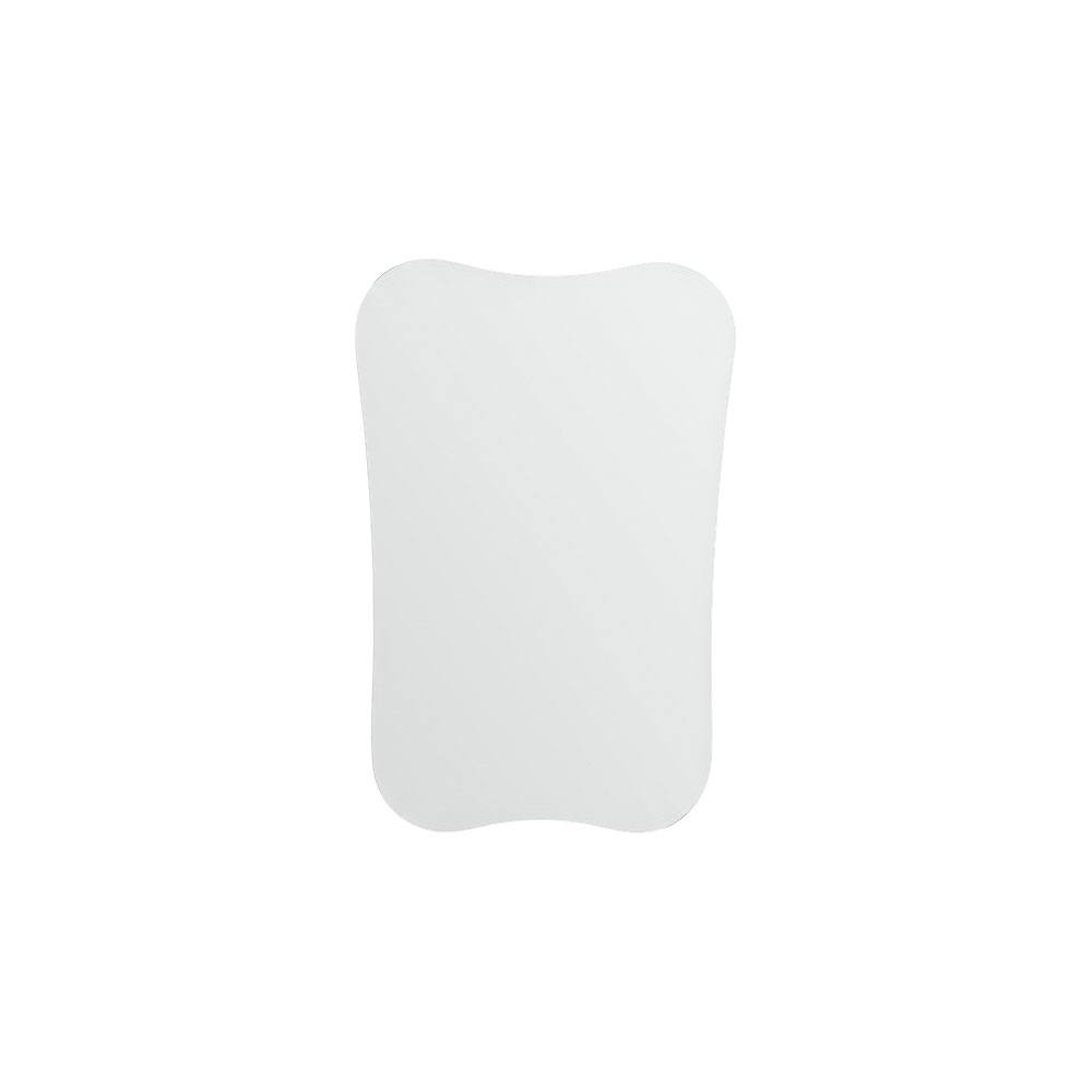 Photographic Mirror